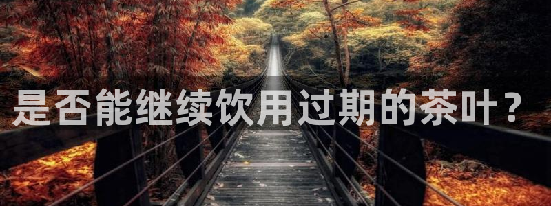 龙八国际平台手机版