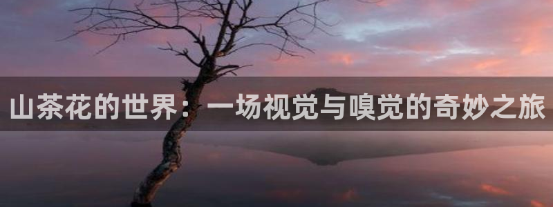 龙八国际平台安卓