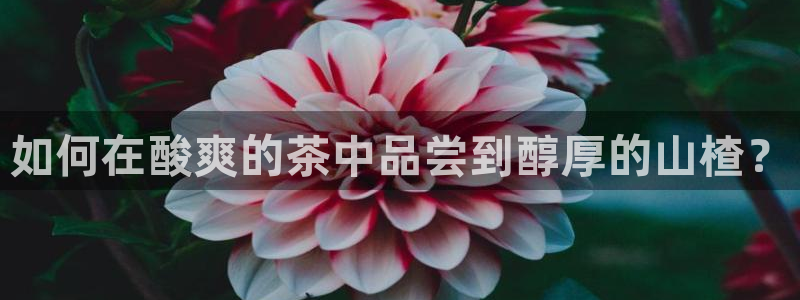 龙八国际pt客户端