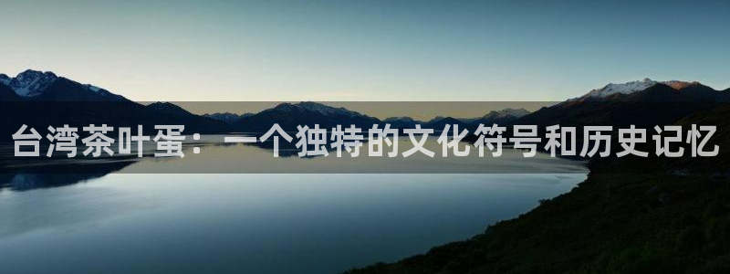 龙八国际是干什么的