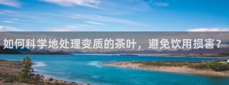 龙八国际手机版入口