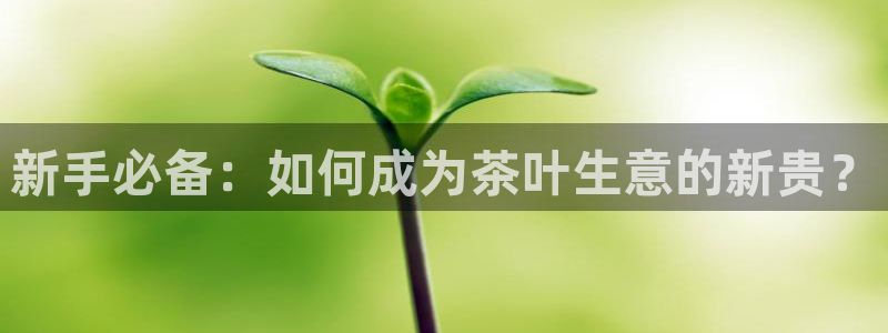 龙八国际害死多少人