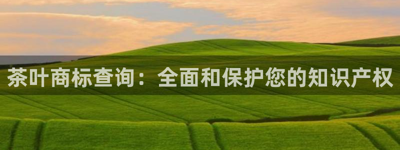 龙八国际平台手机版下载