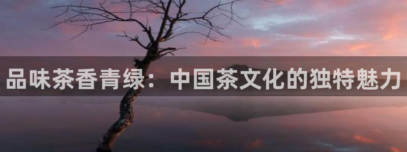 龙八国际客户端下载