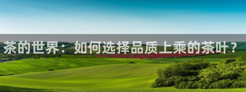 龙八国际赌博经验