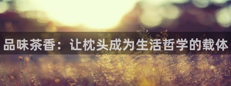 龙八国际娱乐dt 和老虎机