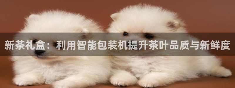 龙八国际官网苹果