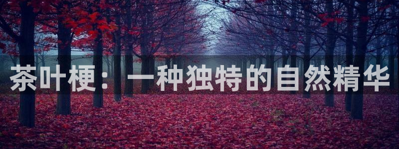 龙八国际手机下载