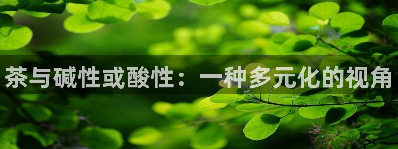 龙八国际平台下载