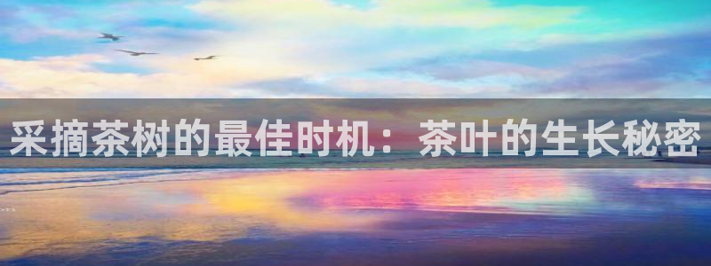 龙八国际网店客服电话