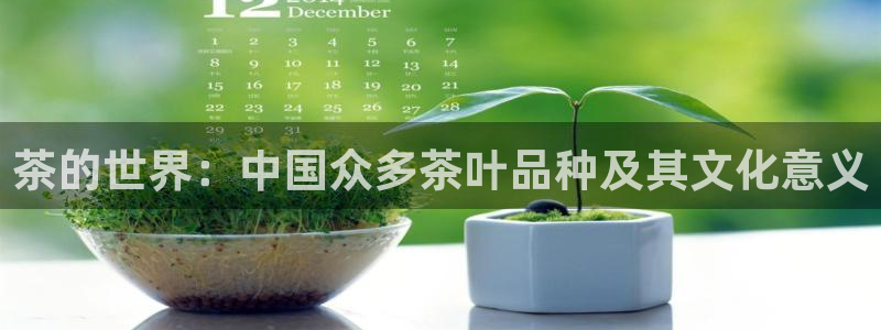 龙八国际提现待审核