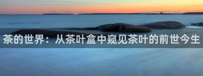 龙八国际zbzszx.com