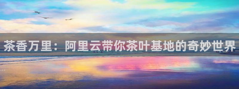 龙八国际客服端登录