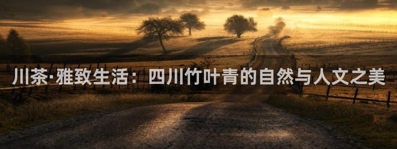 龙八国际玩什么游戏能赢