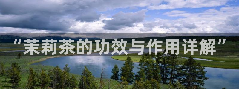 龙八国际app下载安卓