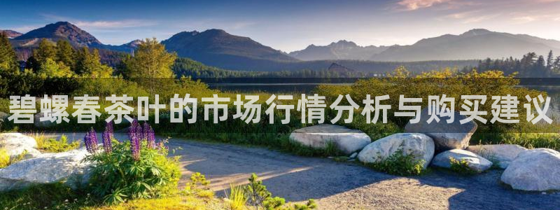 国际龙八国集团