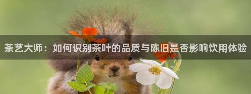 龙八国际娱乐App客户端下载