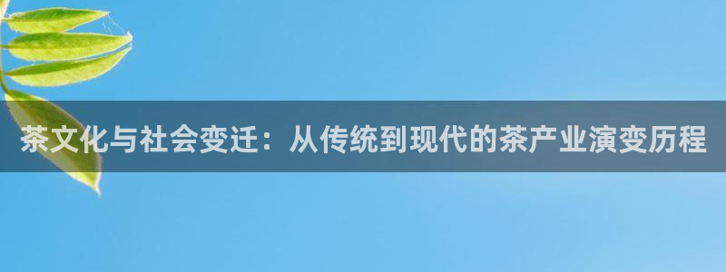 龙八国际头号玩家是谁啊