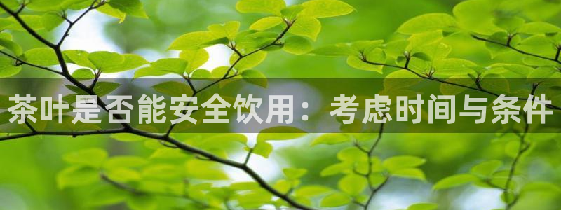 龙八国际官网下载