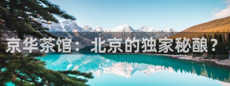 龙八国际是个什么游戏