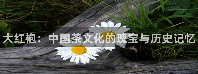 龙八国际娱乐场