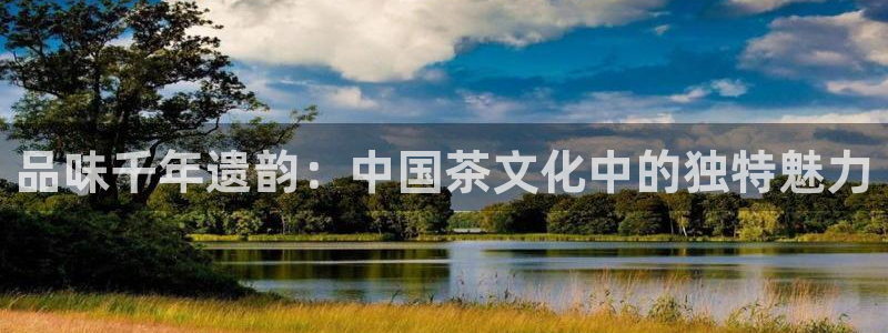 龙八国际网站