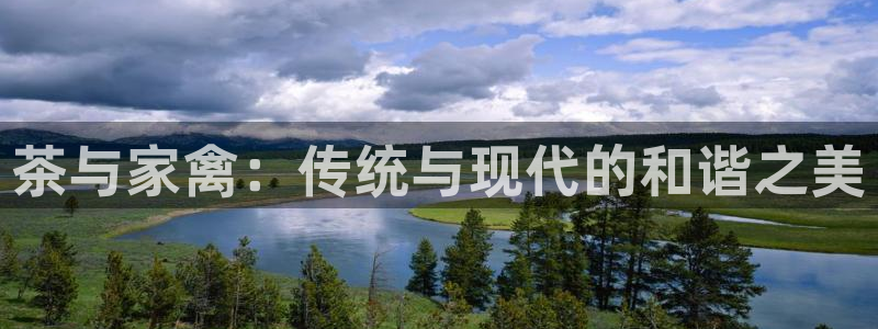 龙八国际城客运站电话