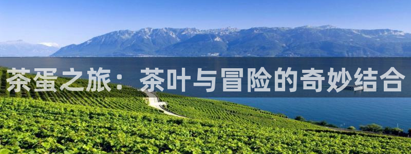 手机版龙八国际服客服