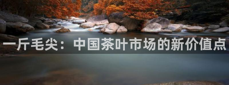 龙八国际不支持苹果手机