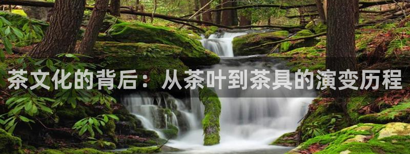 龙八国际服官网进入