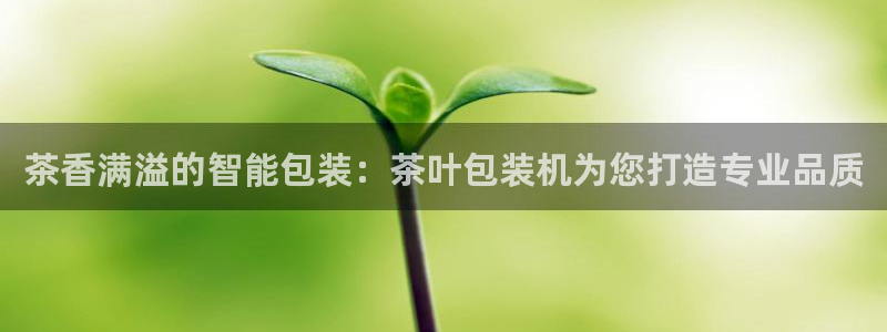 龙八国际服