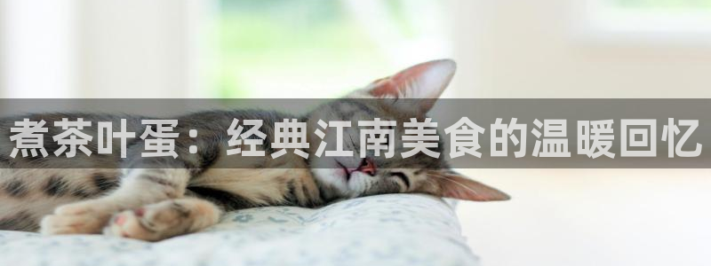 菲律宾龙八国际杀猪