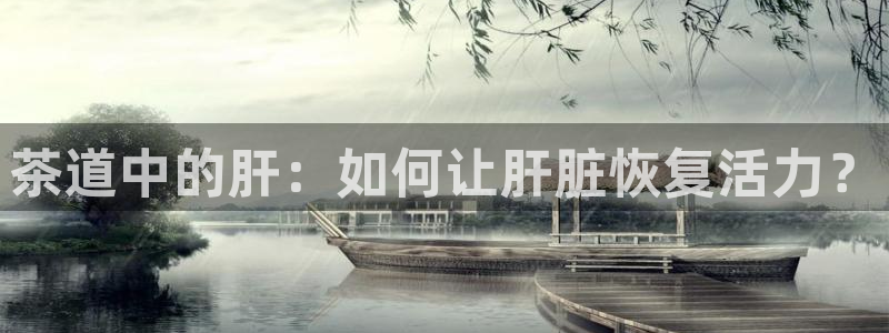 龙八国际手机版官方版app下载