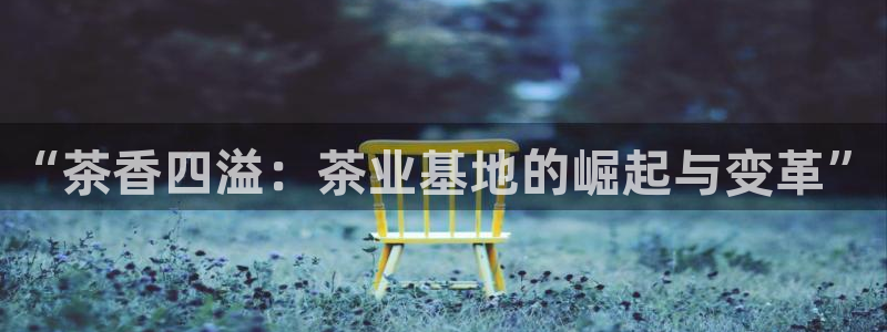 龙八国际头号玩家