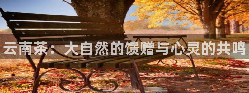 龙八国际q18 tv