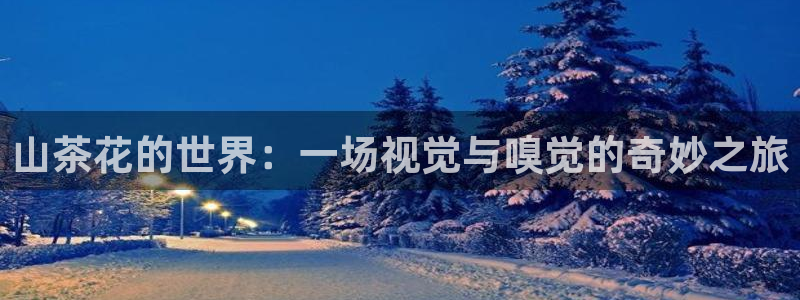 龙八国际客户端官网下载