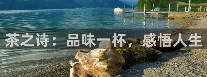 菲律宾的龙八国际