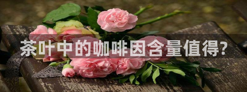 龙八国际app客户端下载安卓