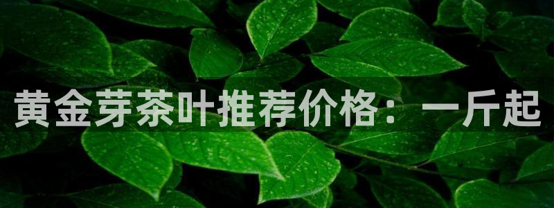 龙八国际娱乐充值