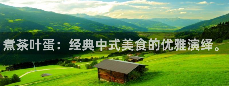 龙八国际娱乐正版