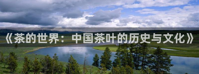 龙八国际网易云音乐