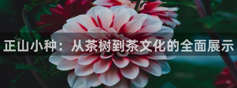 龙八国际花园宝宝