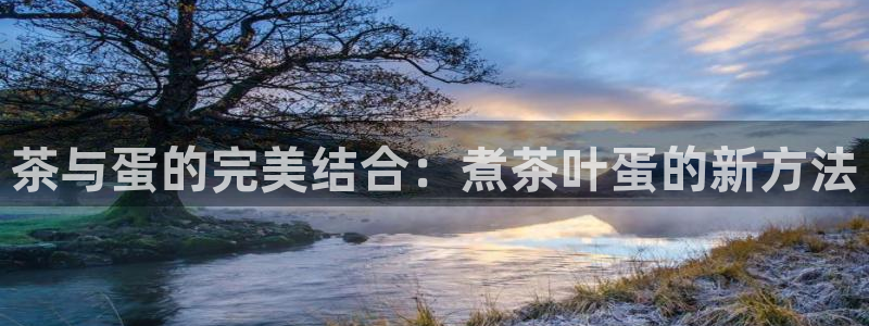 龙八国际不管吗