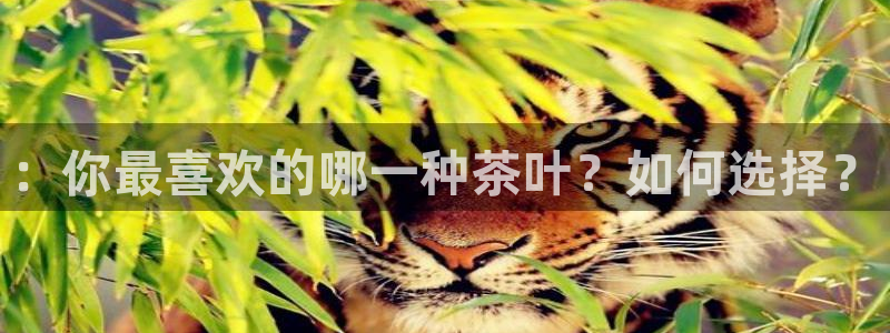 龙八国际官网首页