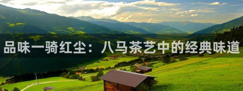 龙八国际娱乐城