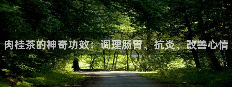 龙八国际手机登录网址