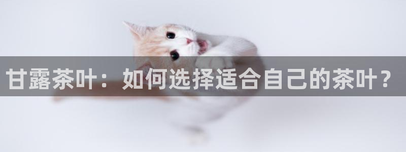 龙八国际在线登录