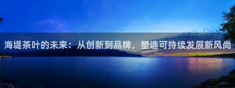 龙八国际彩金购买