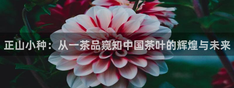 龙八国际游戏