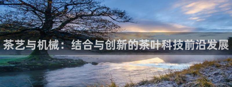 龙八国际什么诈骗